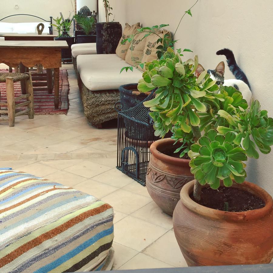 Riad Nejma Lounge Marrakesh Exterior photo